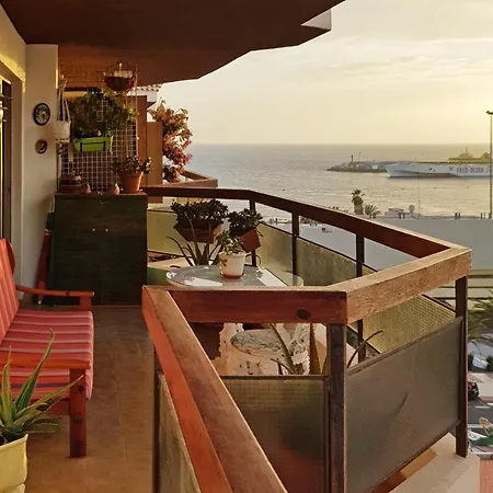 Jardin Canario Primera Linea De Playa